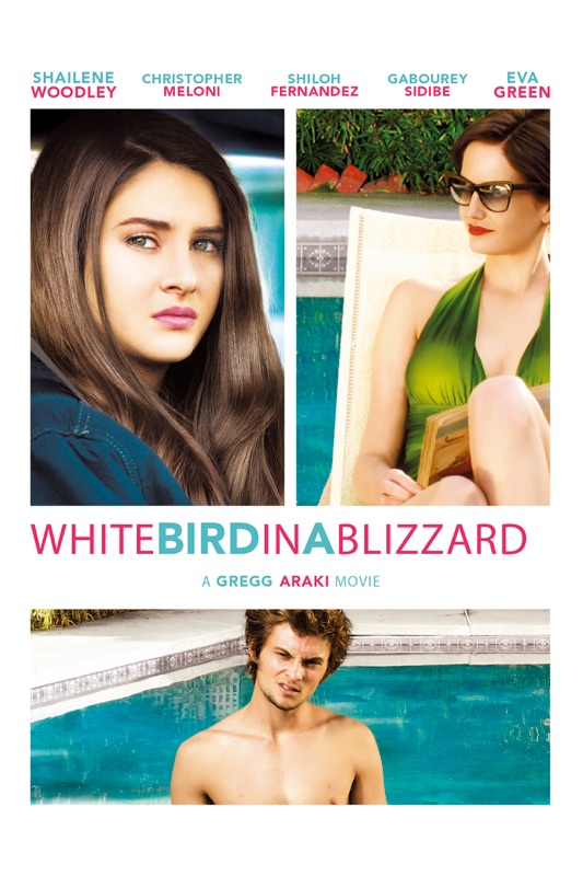 White Bird in a Blizzard