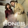 Bones