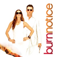Burn Notice, Season 4