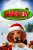 Shelby, The Dog Who Saved Christmas - Brian K. Roberts