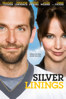 Silver Linings - David O. Russell