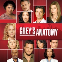 Grey's Anatomy, Season 4