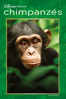 Chimpanzés - Alastair Fothergill & Mark Linfield