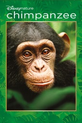 Poster for Disneynature: Chimpanzee by Alastair Fothergill & Mark Linfield