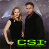 CSI: Crime Scene Investigation, Season 4 - CSI: Crime Scene Investigation Cover Art