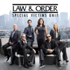 Law &amp; Order: SVU (Special Victims Unit), Season 14 - Law &amp; Order: SVU (Special Victims Unit) Cover Art