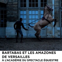 Télécharger Bartabas et les Amazones de Versailles à l'académie du spectacle équestre Episode 1