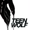 Teen Wolf, Season 5 - Teen Wolf Cover Art