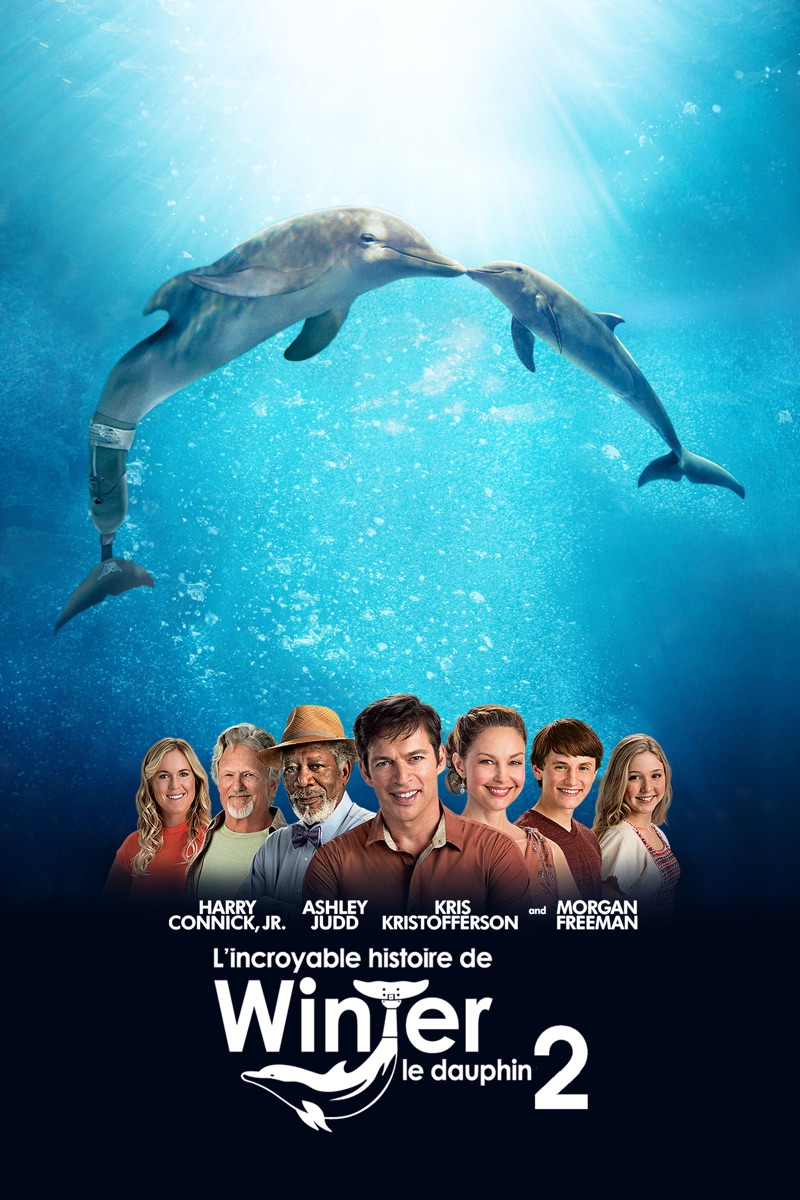 Affiche officielle Apple de L'incroyable histoire de Winter le dauphin 2
