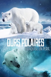 Ours Polaires: Banquise En Peril