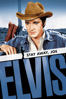 Elvis: Stay Away, Joe - Peter Tewksbury