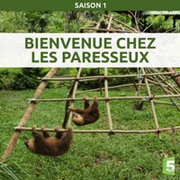 Télécharger Bienvenue chez les paresseux Episode 6