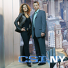 CSI: NY, Season 1 - CSI: NY Cover Art