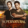 Supernatural, Season 8 - Supernatural