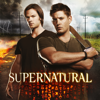 Hunteri Heroici - Supernatural