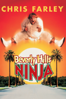 Un Ninja En Beverly Hills (Beverly Hills Ninja) - Dennis Dugan