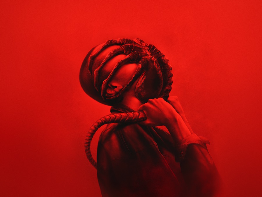 [討論] APPLE TV 特價 私刑教育3/之前的我們/靈