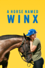 A Horse Named Winx - Janine Hosking