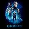 Chicago PD, Staffel 10 - Chicago PD