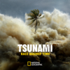 The Wave - Tsunami: Race Against Time