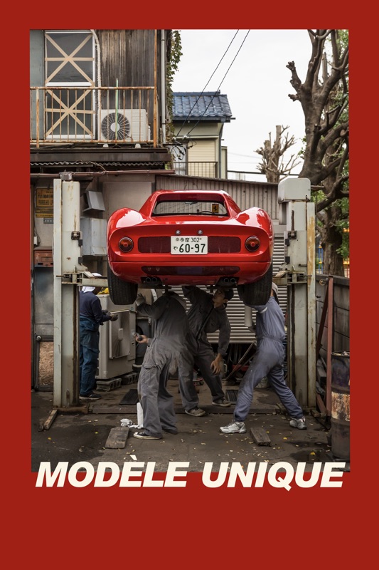 Modèle unique