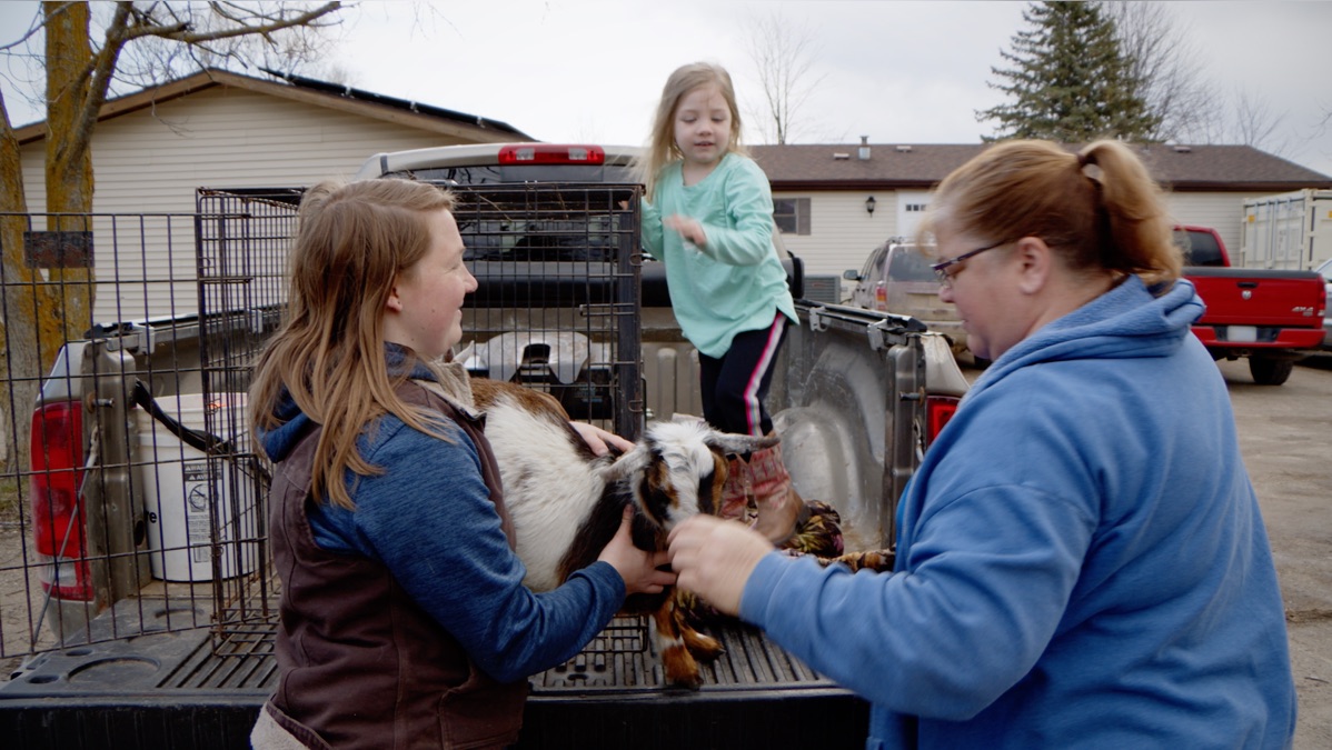 Once Upon a Fair – The Incredible Dr. Pol (Season 24, Episode 10) - Apple TV (CA)