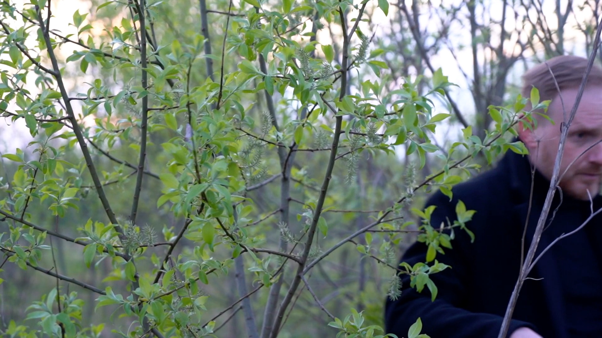 Разбудите меня через год by Александр ШАТО