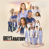 How Do I Live - Grey's Anatomy