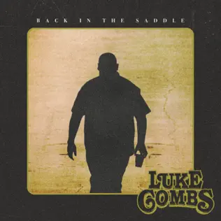Luke Combs – Back in the Saddle – Single (2025) Luke Combs – Back in the Saddle – Single (2025)