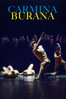 Carmina Burana - Rolf Dekens