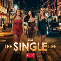 90 Day: The Single Life, Season 5