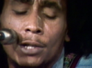 Midnight Ravers - Bob Marley & The Wailers