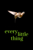 Every Little Thing - Unknown