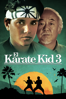 Karate Kid III (Subtitulada) - John G. Avildsen