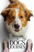 A Dog's Journey