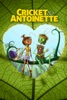 Cover DJ Antoine  - Ma Cherie