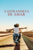 A Estranheza de Amar - Giuseppe Fiorello