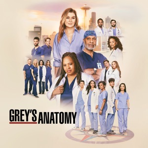 Grey's Anatomy, Saison 21 (VF) - Episode 13