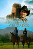 Caminhos Cruzados - Gina Desmont