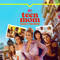 Rooftop Romance &amp; Red Flags - Teen Mom Family Reunion Cover Art