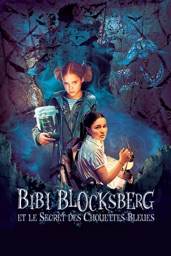 Bibi Blocksberg et le secret des chouettes bleues