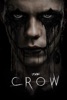 icone application The Crow
