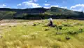 Arc Still Bends