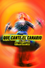 Cindy Lauper: Que cante el canario - Allison Ellwood