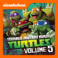 Teenage Mutant Ninja Turtles, Vol. 5