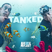 Tanked, Season 9