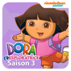 Dora au Pôle Sud - Dora l'exploratrice