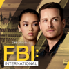 Gaijin - FBI: International