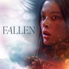Eingewöhung - Fallen
