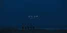5×20 - 嵐